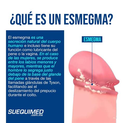 esmegma es malo|Esmegma, qué es y causas de esta desagradable molestia